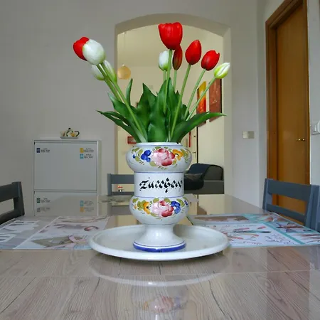Appartement Casa Brin *